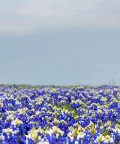 Blue Wildflowers Field Diamond Painting