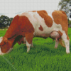 Brown And White Simmental Cattle Diamond Paintings