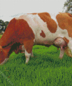 Brown And White Simmental Cattle Diamond Paintings