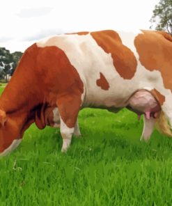 Brown And White Simmental Cattle Diamond Painting