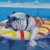 Chilling Dog On The Beach Diamond Paintings