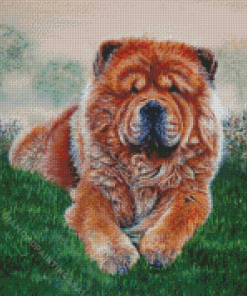 Chow Chow Diamond Paintings