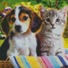 Dog And Cat Together Diamond Paintings