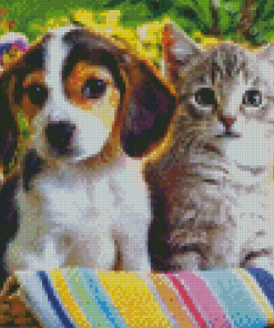 Dog And Cat Together Diamond Paintings