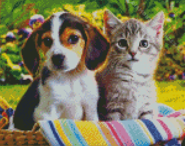 Dog And Cat Together Diamond Paintings