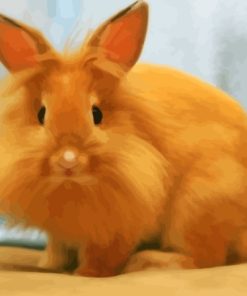 Orange Lionhead Rabbit Diamond Painting