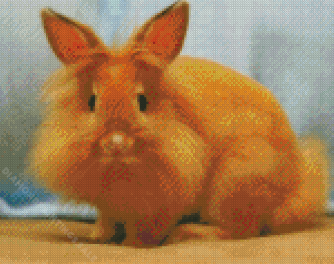 Orange Lionhead Rabbit Diamond Paintings