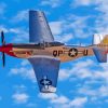 P51 Mustang Diamond Painting