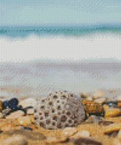 Petoskey Stone At The Beach Diamond Paintings