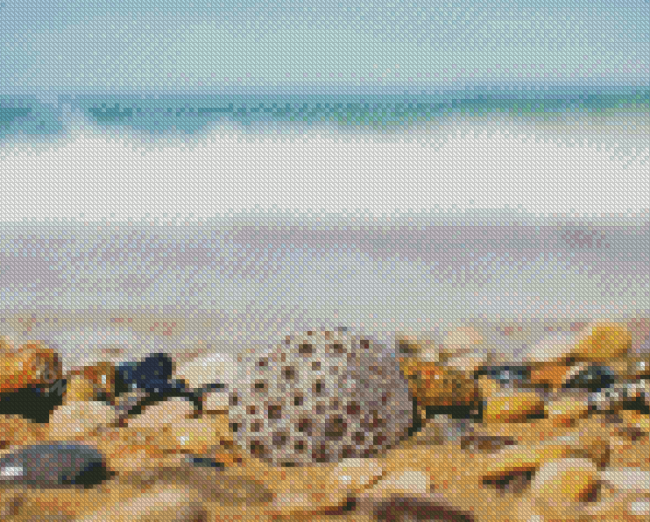 Petoskey Stone At The Beach Diamond Paintings