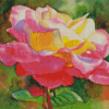 Princess Diana Roses Diamond Paintings