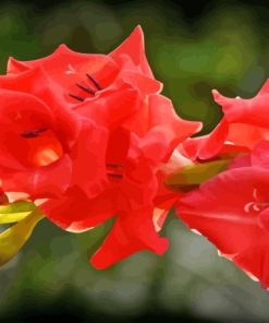 Pink Gladiolus Diamond Painting