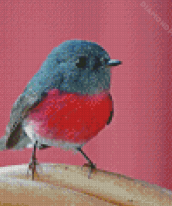 Rose Robin Bird Diamond Paintings