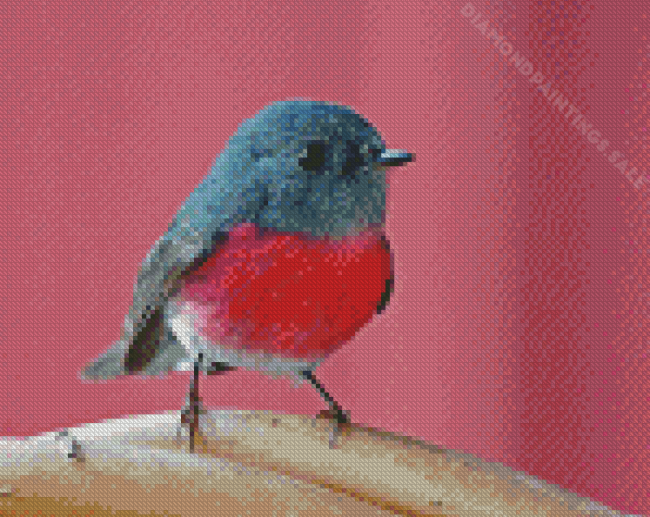 Rose Robin Bird Diamond Paintings