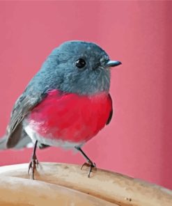 Rose Robin Bird Diamond Painting