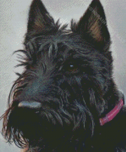 Scottish Terrier Dog Art Diamond Paintings