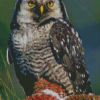 Screech Owl Diamond Paintings