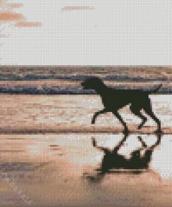 Silhouette Dog On The Beach Diamond Paintings