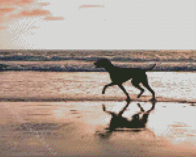 Silhouette Dog On The Beach Diamond Paintings