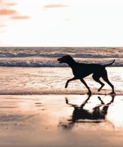 Silhouette Dog On The Beach Diamond Painting