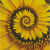 Spiral Sunflower Diamond Paintings