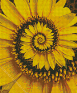Spiral Sunflower Diamond Paintings