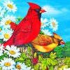 Springtime Cardinals And Daisies Diamond Painting