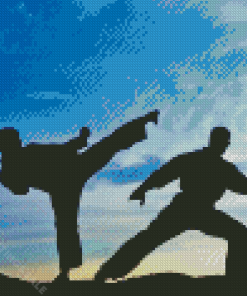 Taekwondo Men Diamond Paintings