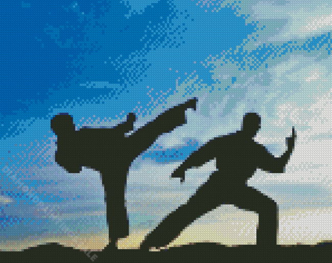 Taekwondo Men Diamond Paintings