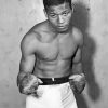 The Boxer Sugar Ray Robinson Diamond Painting