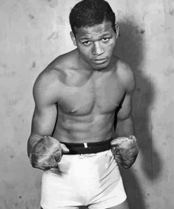 The Boxer Sugar Ray Robinson Diamond Painting