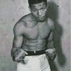 The Boxer Sugar Ray Robinson Diamond Paintings