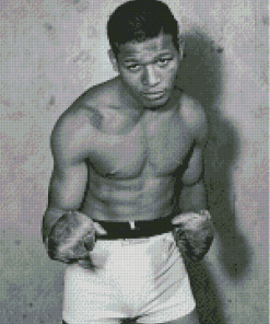 The Boxer Sugar Ray Robinson Diamond Paintings