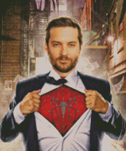 Tobey Maguire Spider Man Diamond Paintings