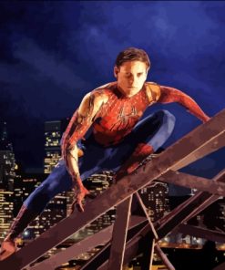 Tobey Maguire Spider Man Marvel Diamond Painting