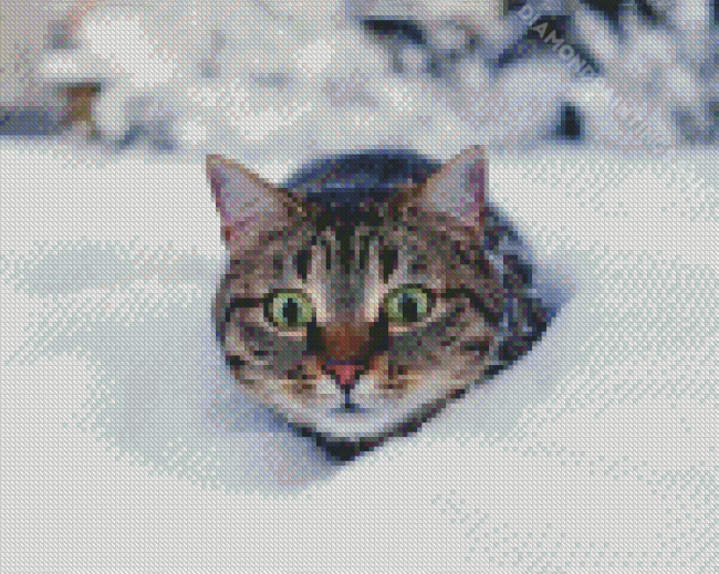 Winter Cat Diamond Paintings