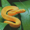 Yellow Snake On Leaves Diamond Paintings