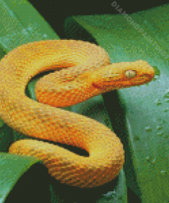 Yellow Snake On Leaves Diamond Paintings