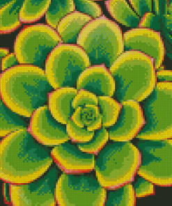 Aesthetic Aeonium Diamond Paintings