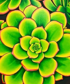 Aesthetic Aeonium Diamond Painting