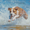 Aesthetic Dog In Water Diamond Paintings