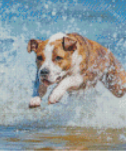 Aesthetic Dog In Water Diamond Paintings