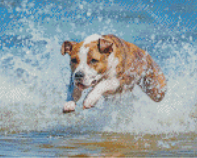 Aesthetic Dog In Water Diamond Paintings