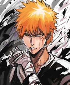 Aesthetic Ichigo Kurosaki Diamond Painting