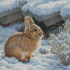 Aesthetic Rabbit In Snow Diamond Paintings