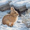 Aesthetic Rabbit In Snow Diamond Painting