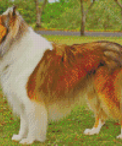 Aesthetic Sable Rough Collie Diamond Paintings