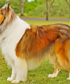 Aesthetic Sable Rough Collie Diamond Painting