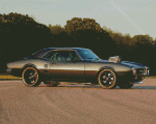 Black Classic Firebird Diamond Paintings