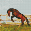 Brown Bucking Horse Diamond Paintings